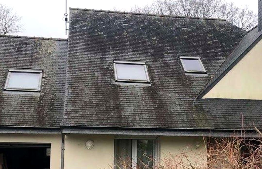 Avant travaux — Démoussage de toiture — versant à trois fenêtres de toit, chantier STROPPE en Ille-et-Vilaine