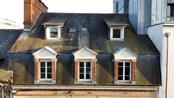 Toiture urbaine chargée de mousses et de lichens — chantier STROPPE, couvreur en Ille-et-Vilaine
